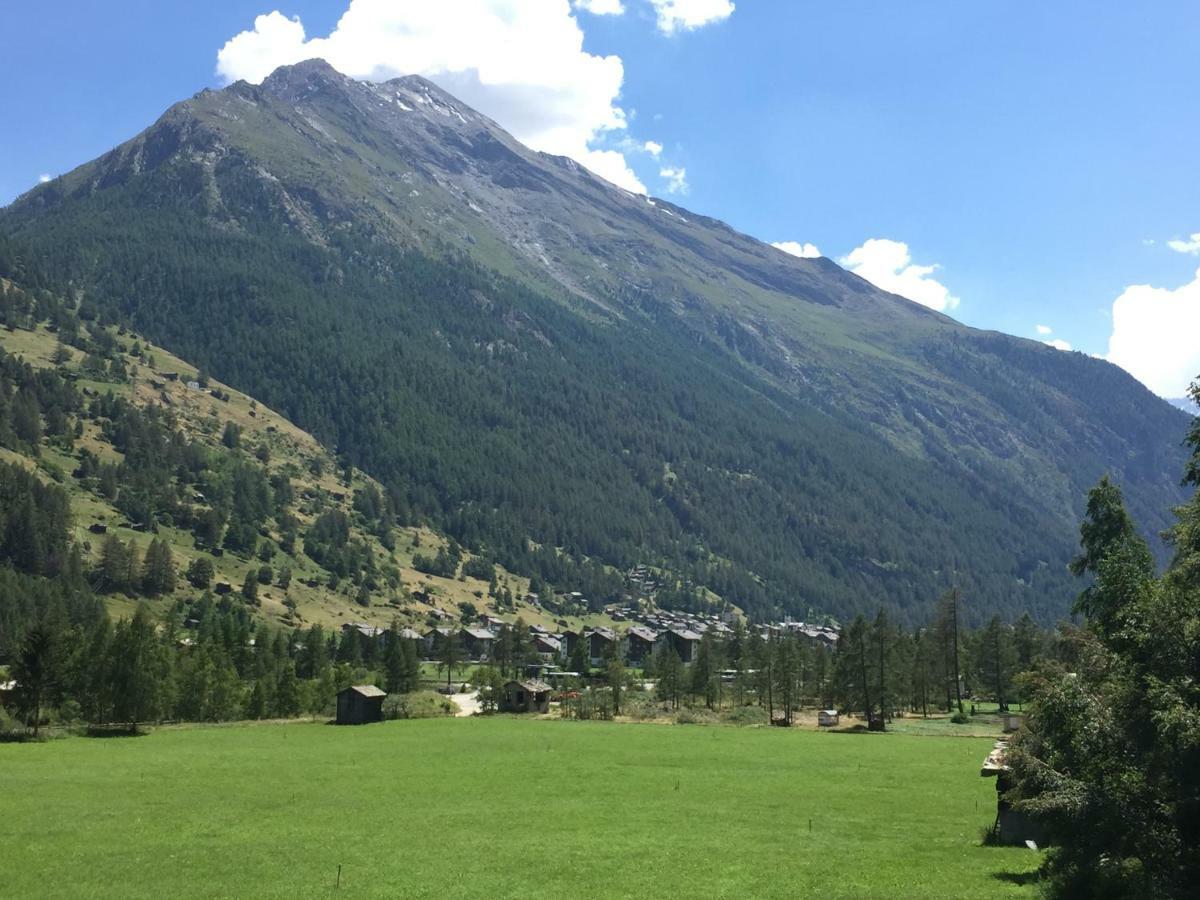 Monte Rosa D 412 Aparthotel Täsch Exteriör bild